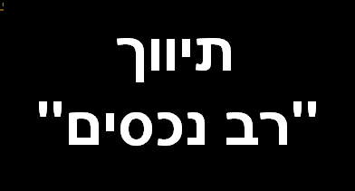 תיווך רב נכסים