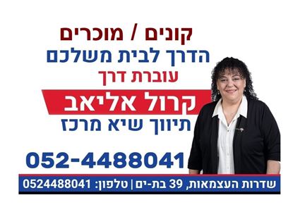 תמונה של למכירה 4 חדרים ברחוב שדרות החייל  תל אביב קרול אליאב