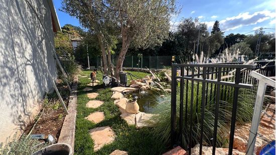 תמונה של דו משפחתי