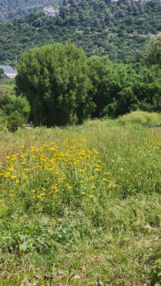 תמונה של מגרש לדו משפחתי